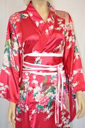 Geisha Costume vestito (4)